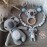 Baby-Set Koala blau